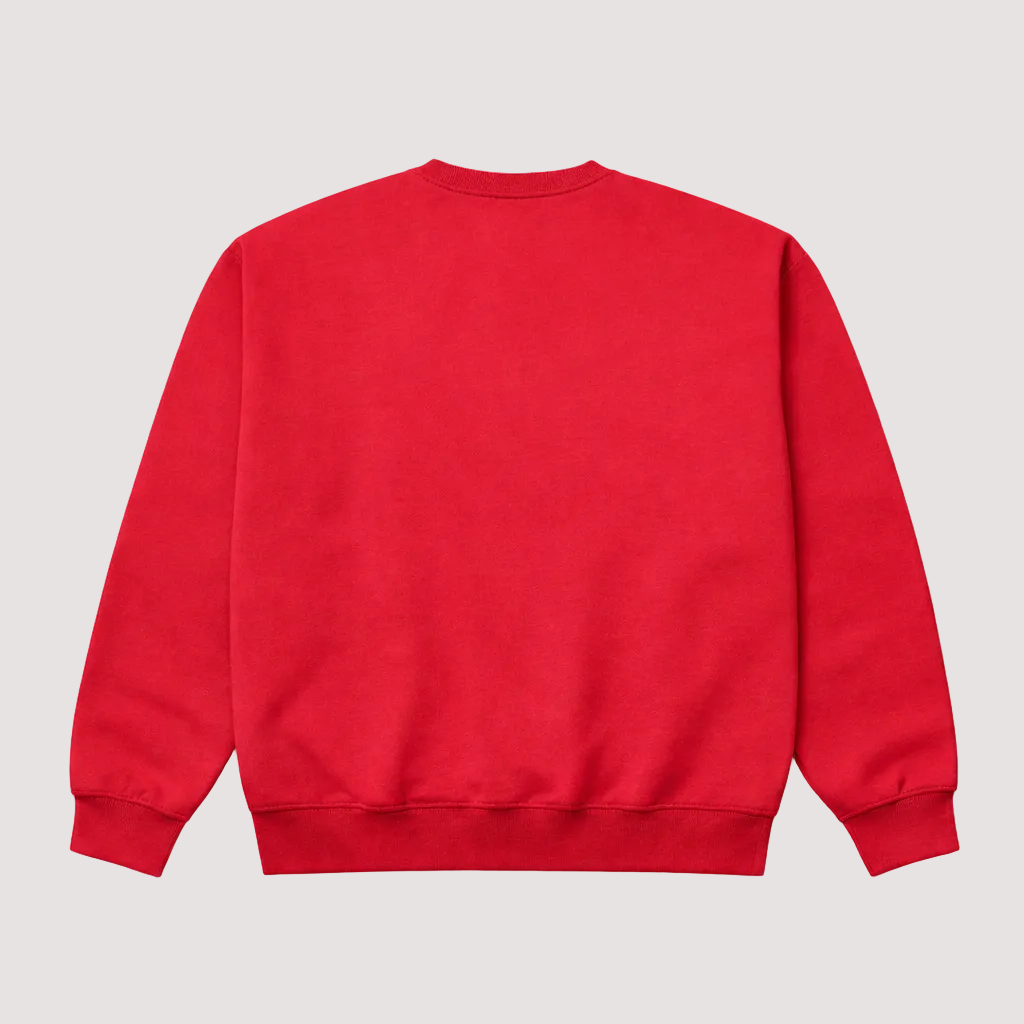 Sudadera "Aldatu aurretik" Bulego